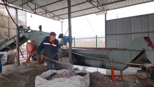 库尔勒废旧物资回收加工产业园吹响春节复工集结号